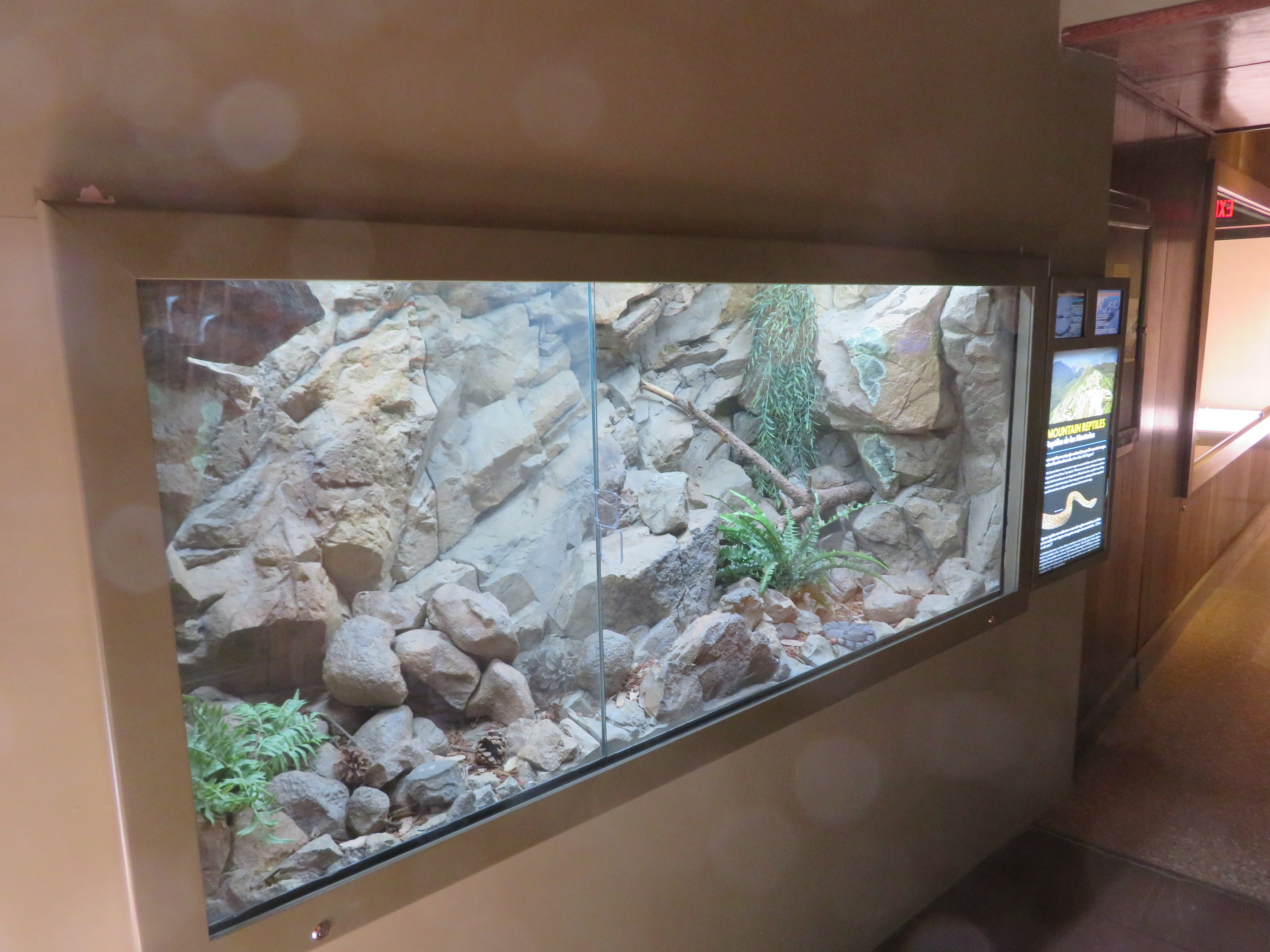 Rattlesnake Exhibits