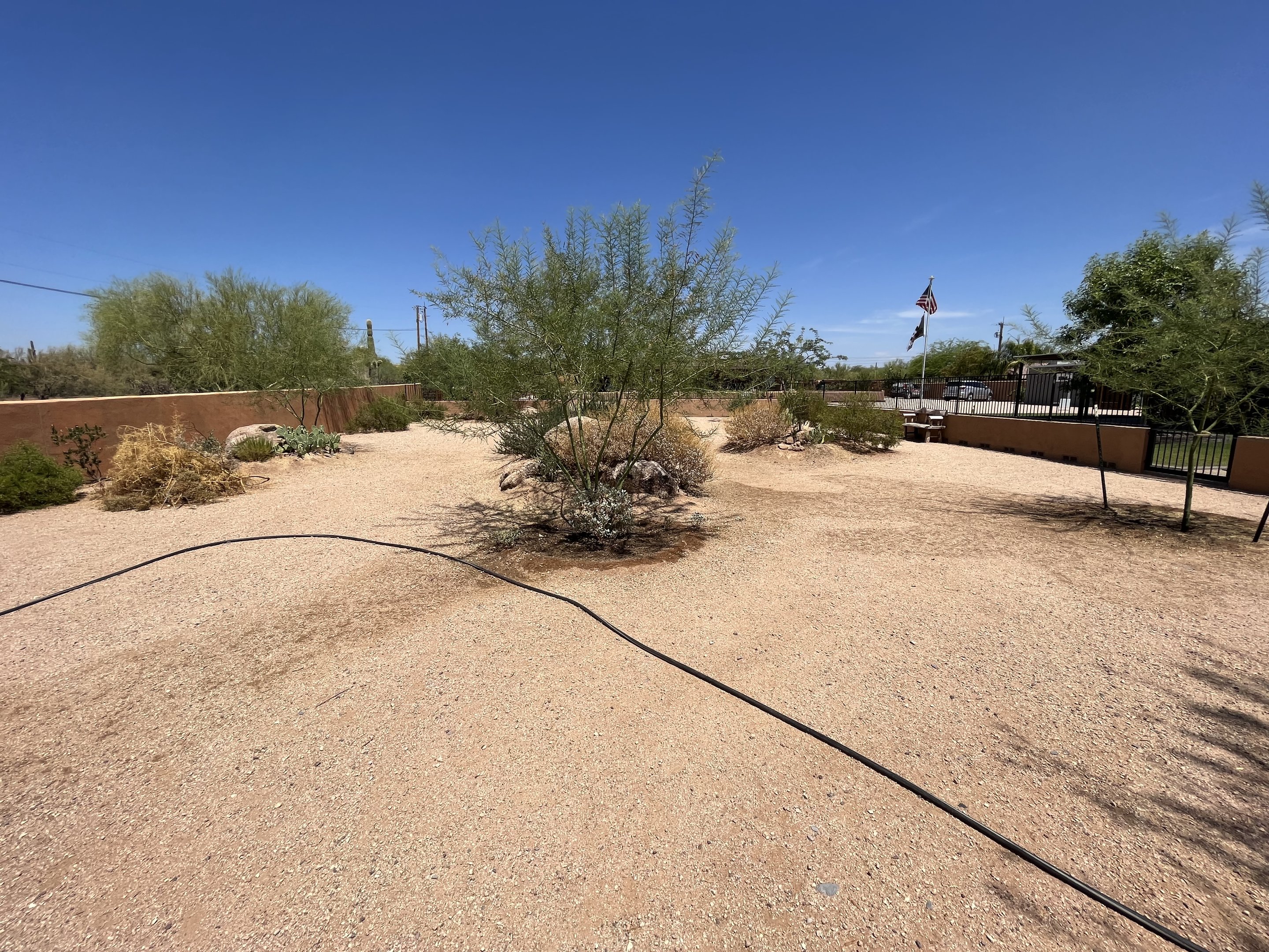 Rattlesnake Ranch - dog training area