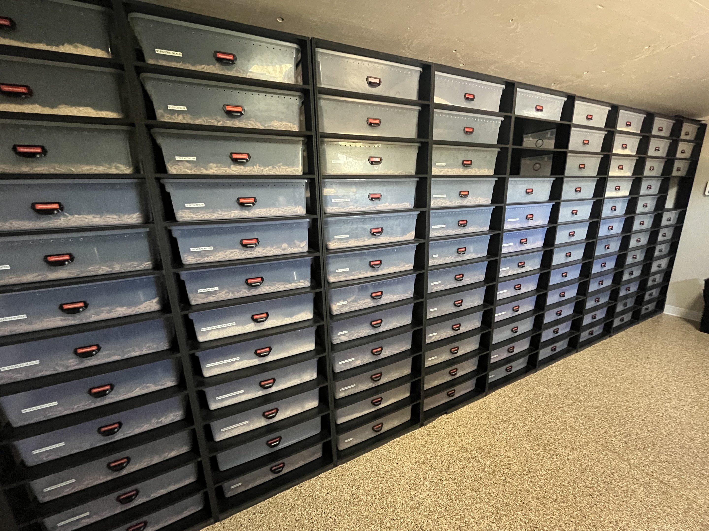 Rattlesnake Ranch - Hibernaculum