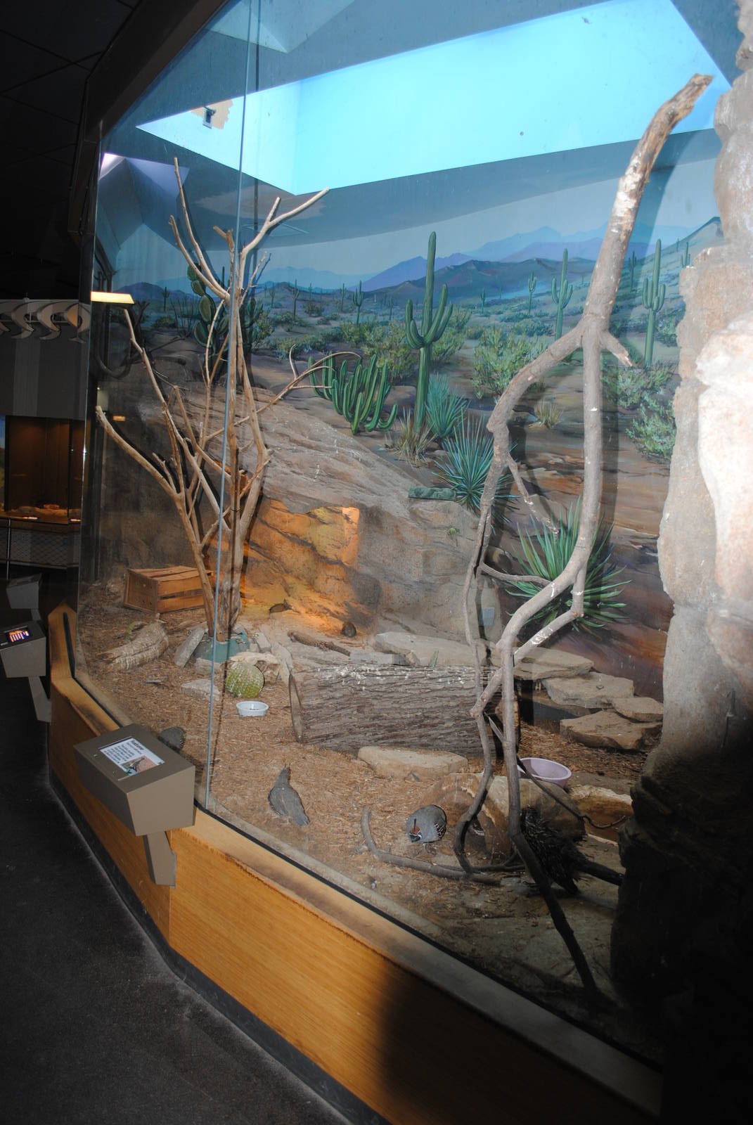 Rattlesnake Ridge exhibit (home to Beaded Lizard, Roadrunner, Burrowing Owl