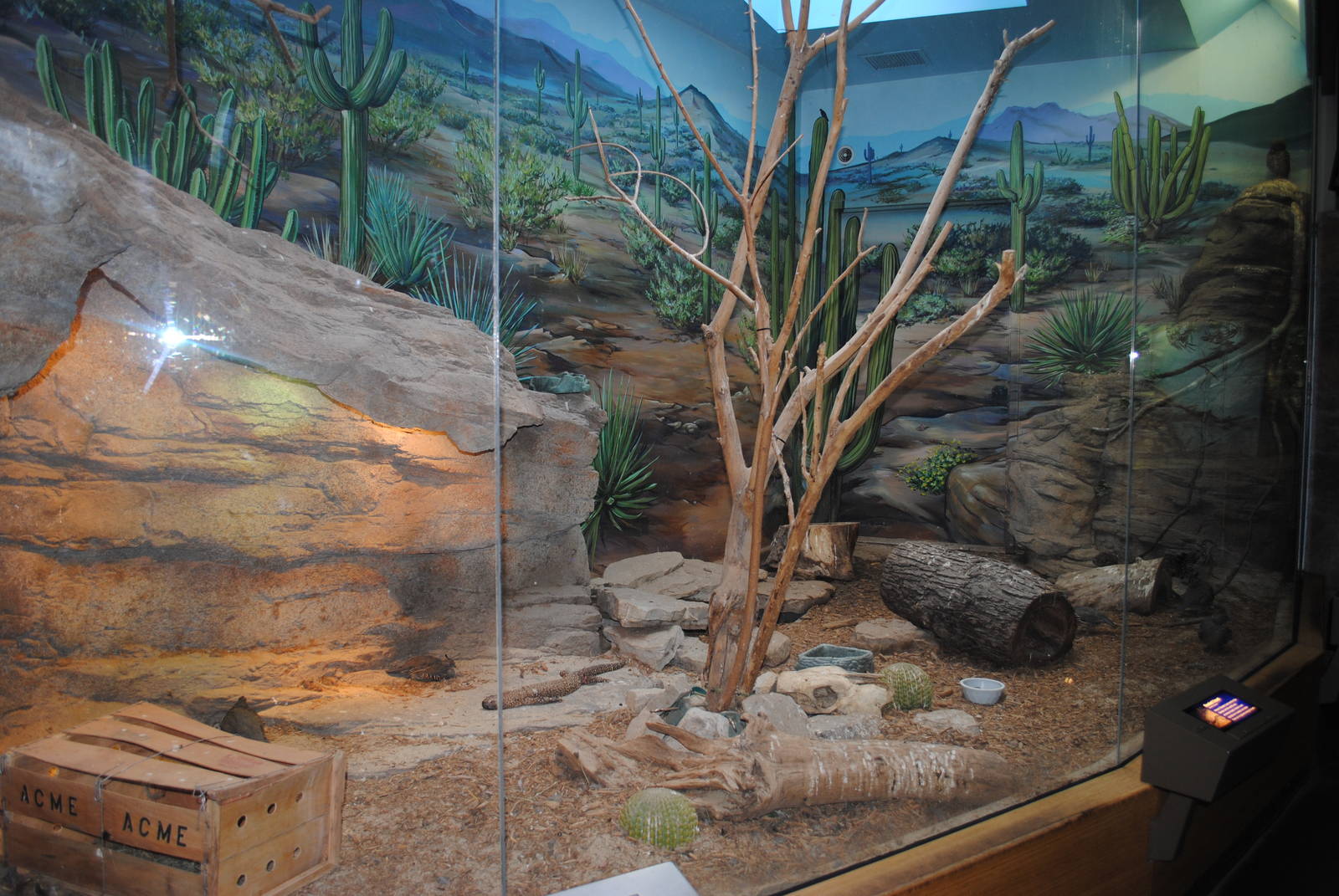 Rattlesnake Ridge exhibit (home to Beaded Lizard, Roadrunner, Burrowing Owl