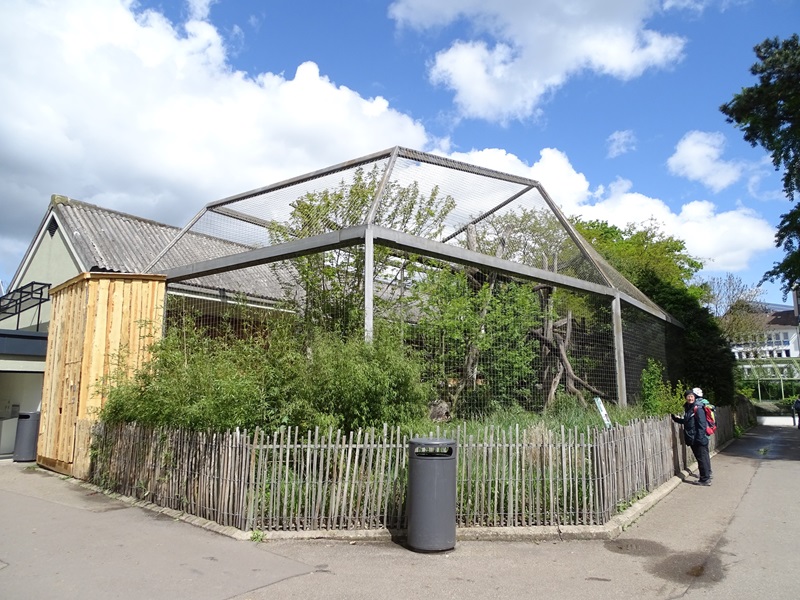 Raubtierhaus: North Chinese leopard enclosure