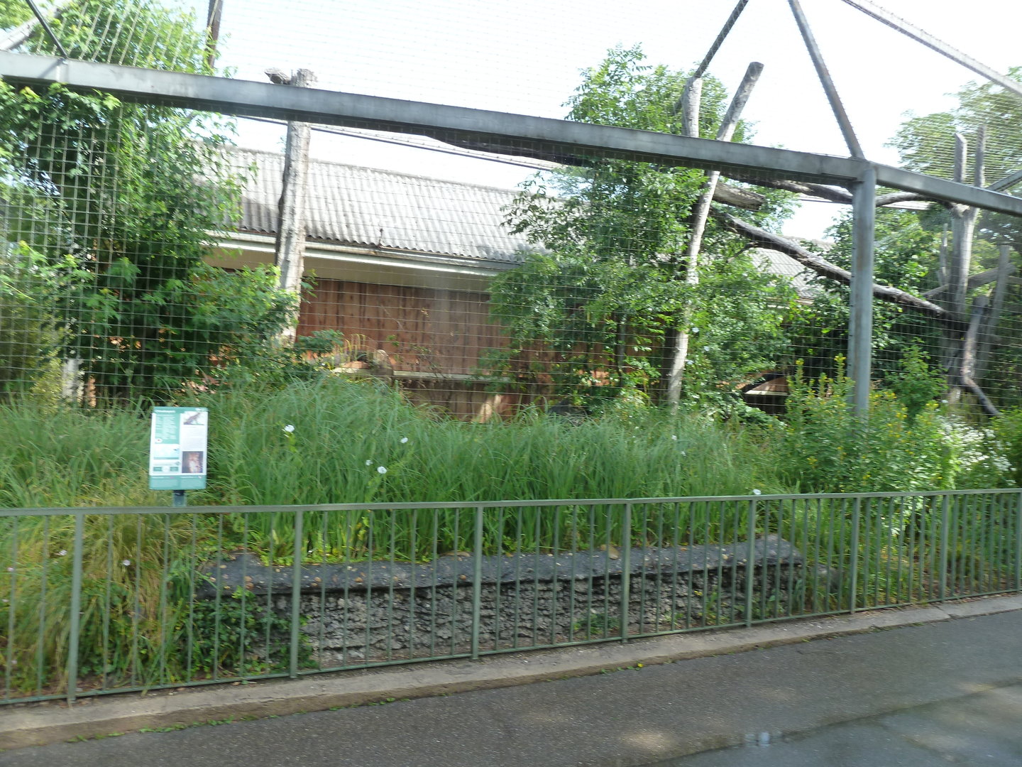 Raubtierhaus -  North Chinese leopard exhibit