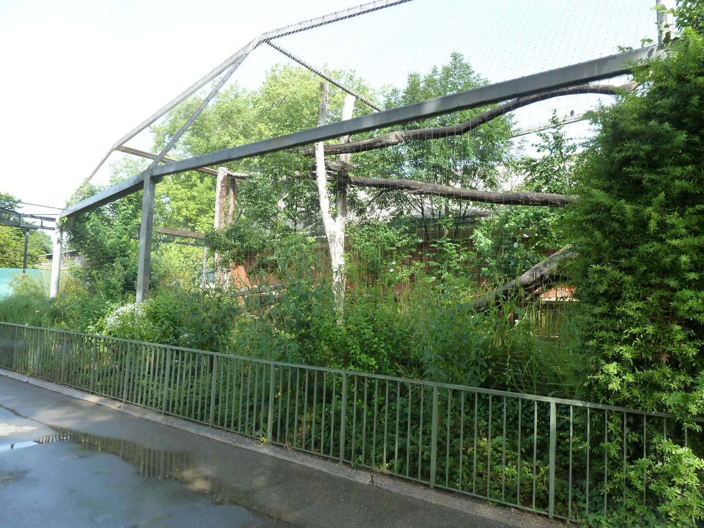 Raubtierhaus -  North Chinese leopard exhibit
