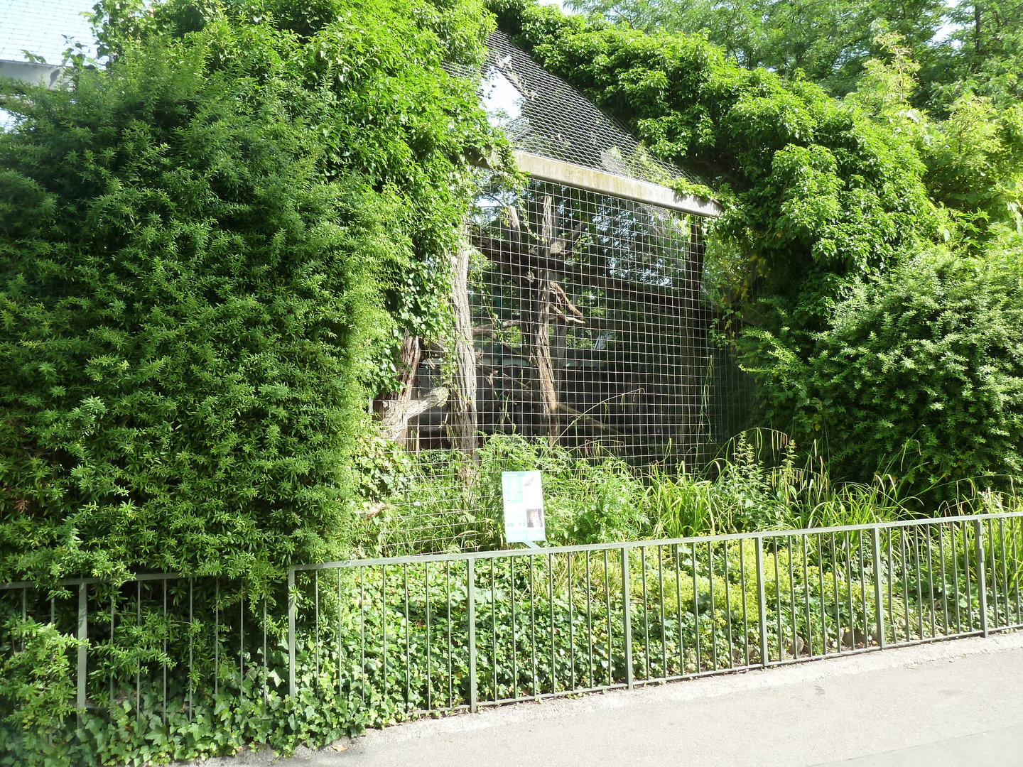 Raubtierhaus -  North Chinese leopard exhibit