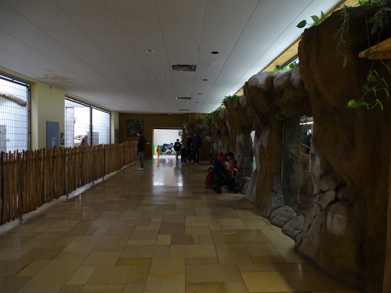 Raubtierhaus: Squirrel monkey and paca enclosure (right), leopard enclosure (left)