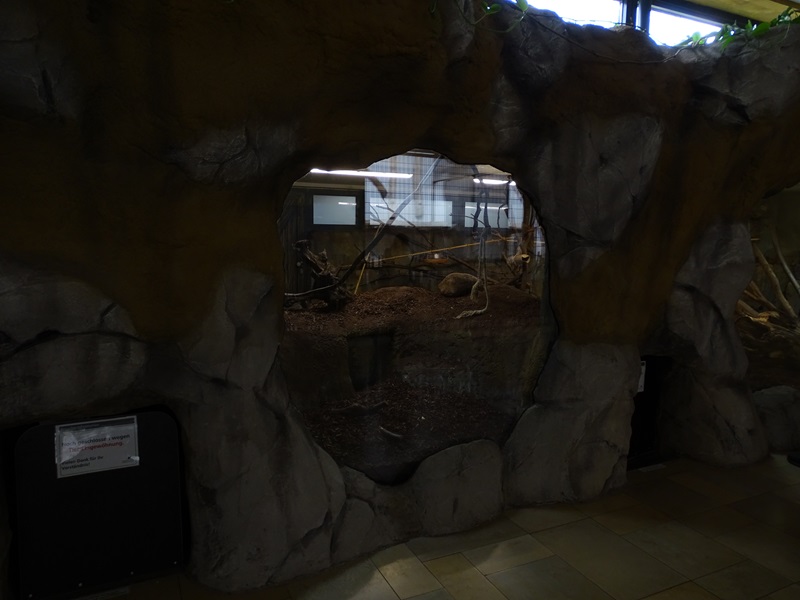 Raubtierhaus: Squirrel monkey and paca enclosure