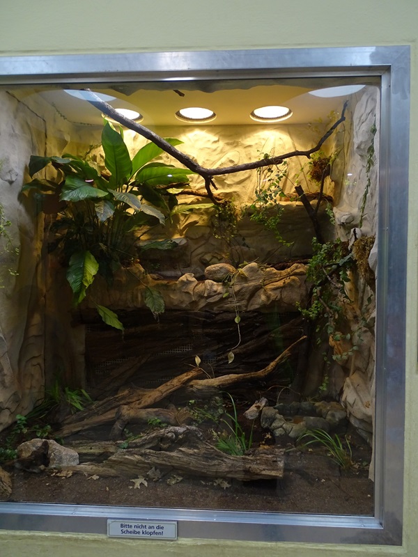 Raubtierhaus: Terrarium for ball python