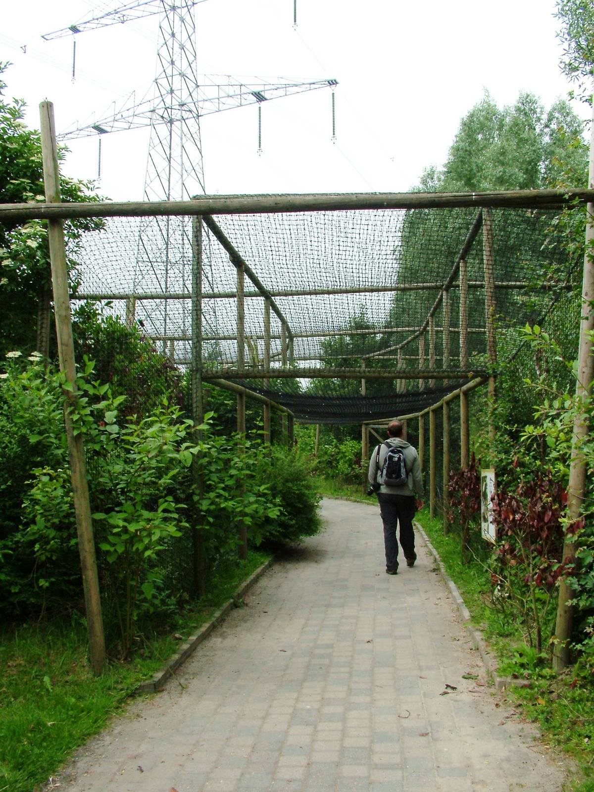 Raven Aviary at Dierenrijk, 31/05/12