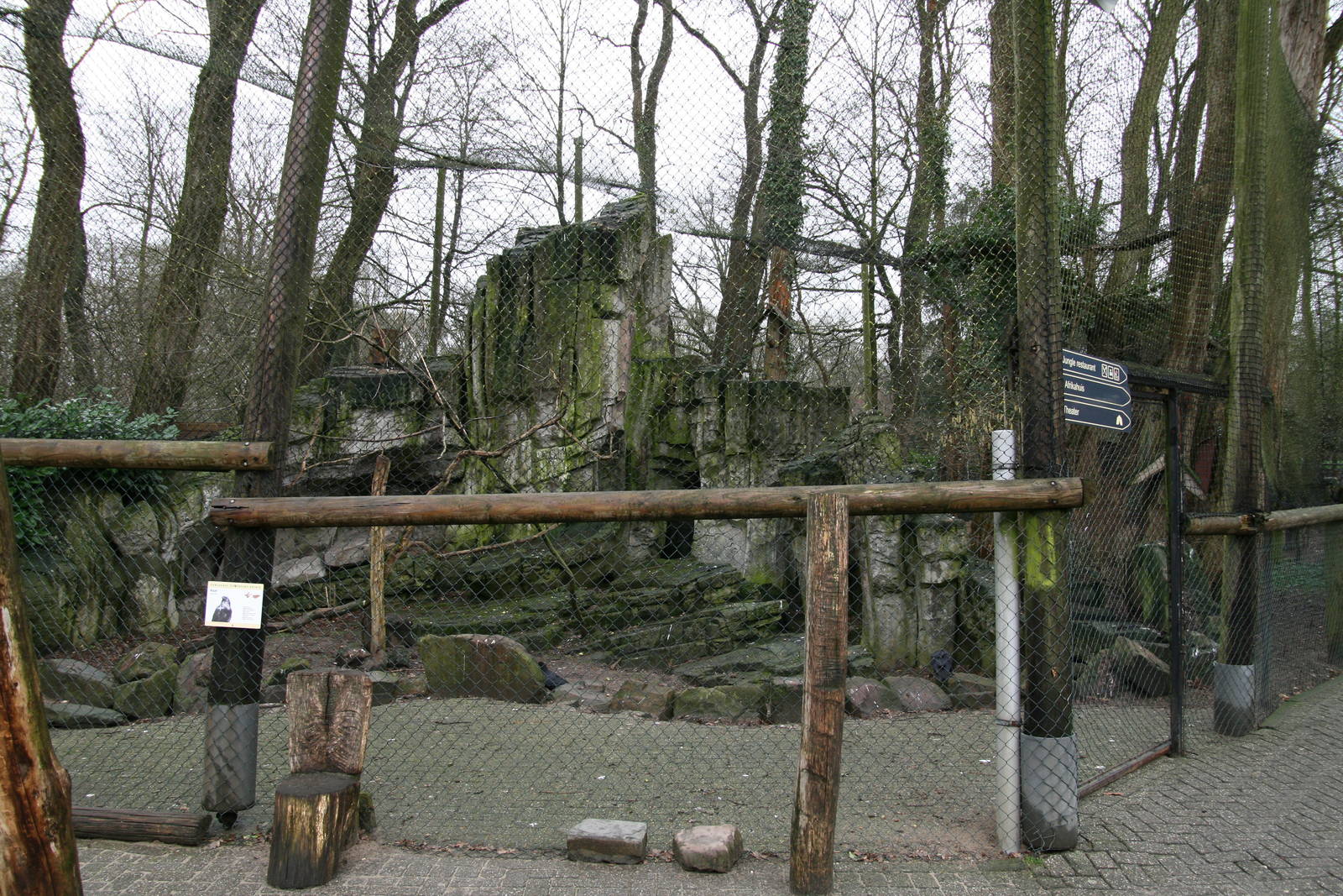 Raven aviary