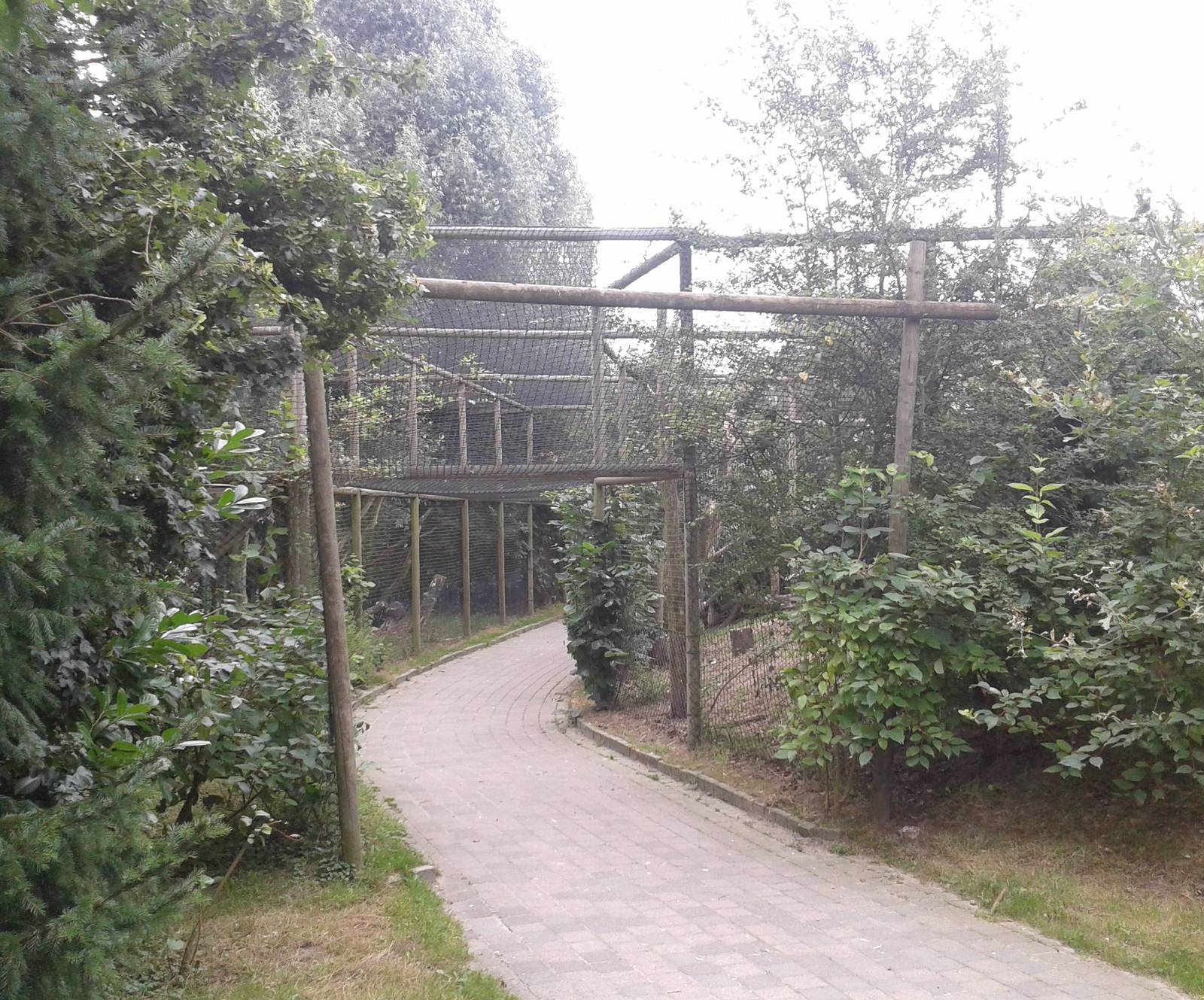 Raven aviary