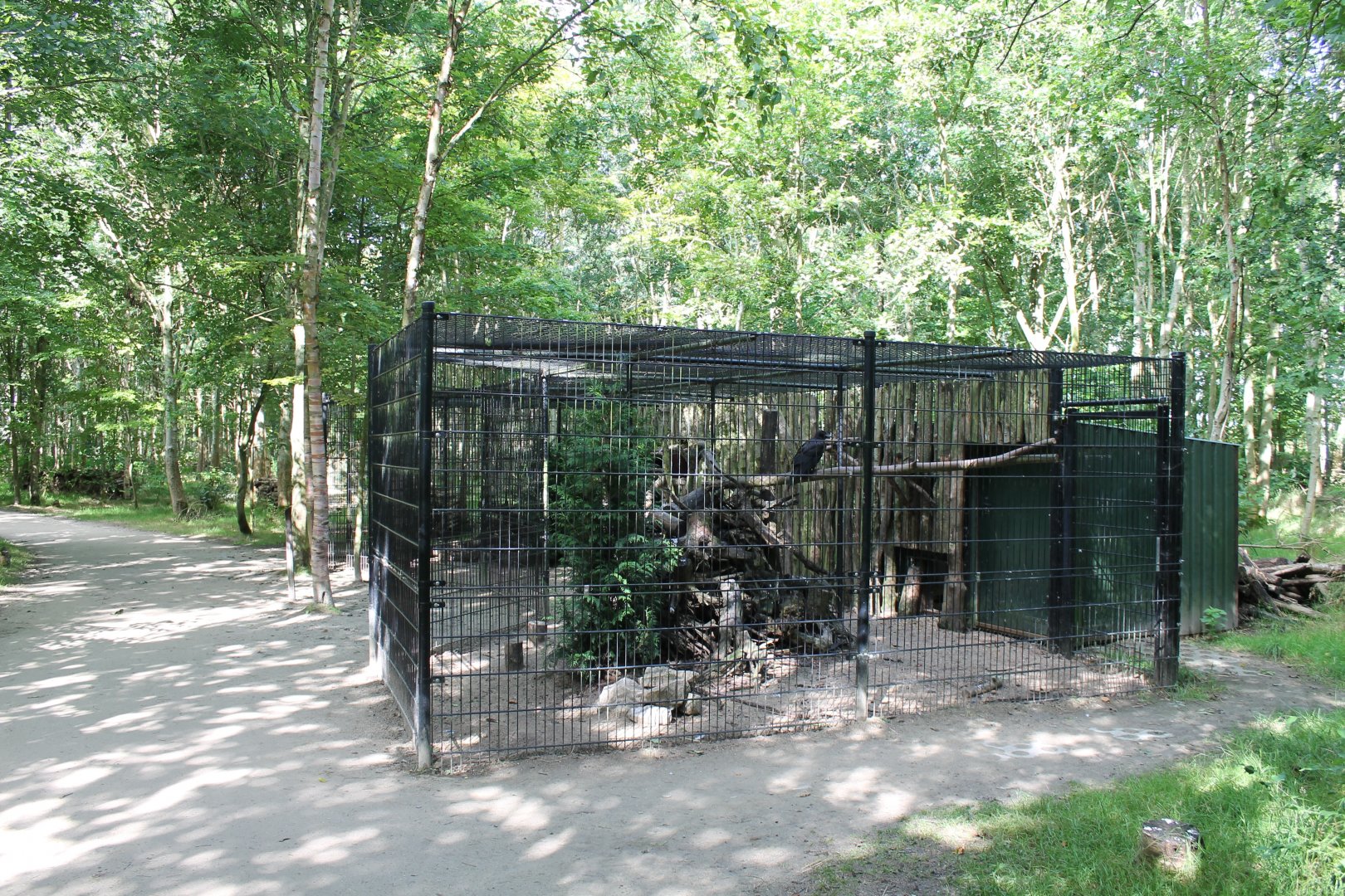 Raven-aviary