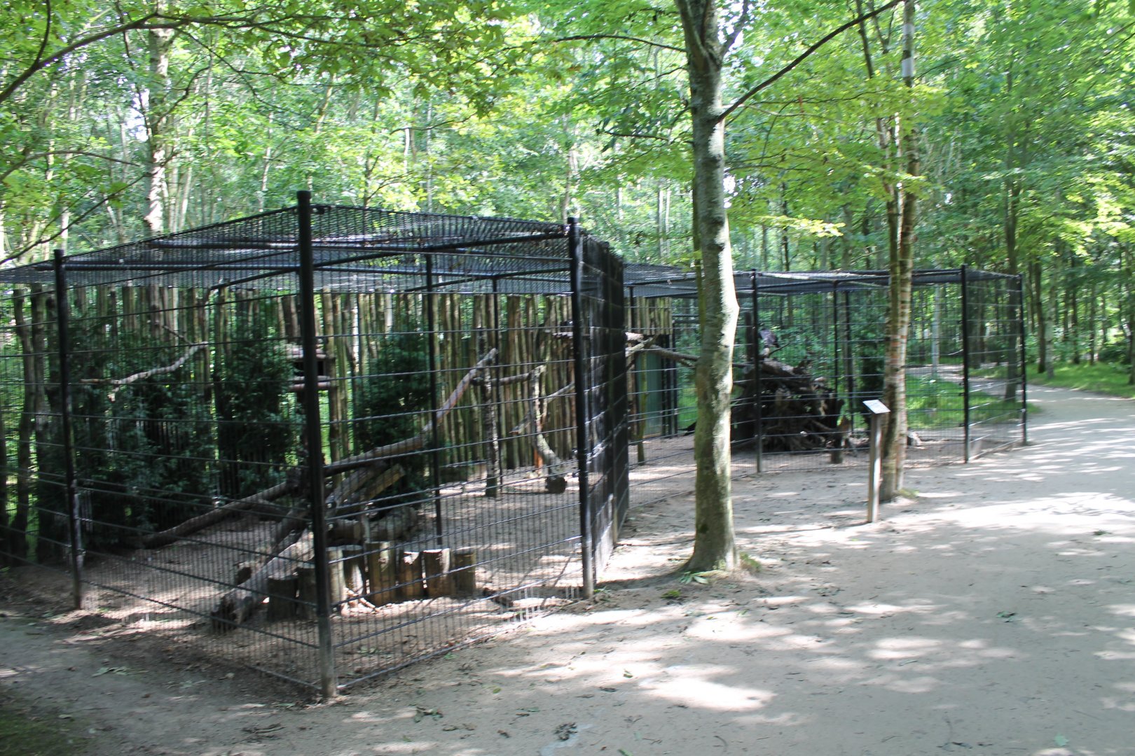 Raven-aviary