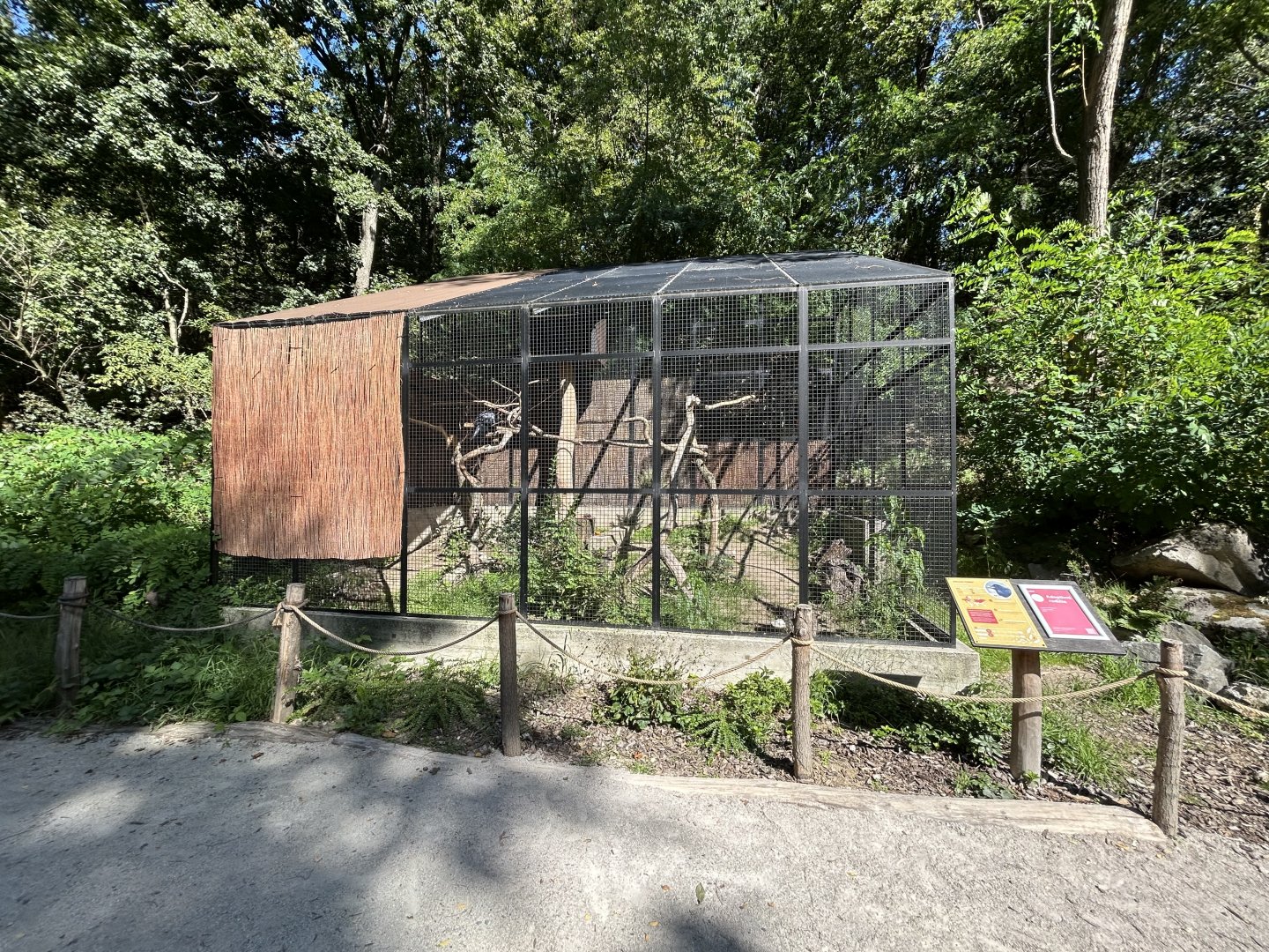 Raven Aviary
