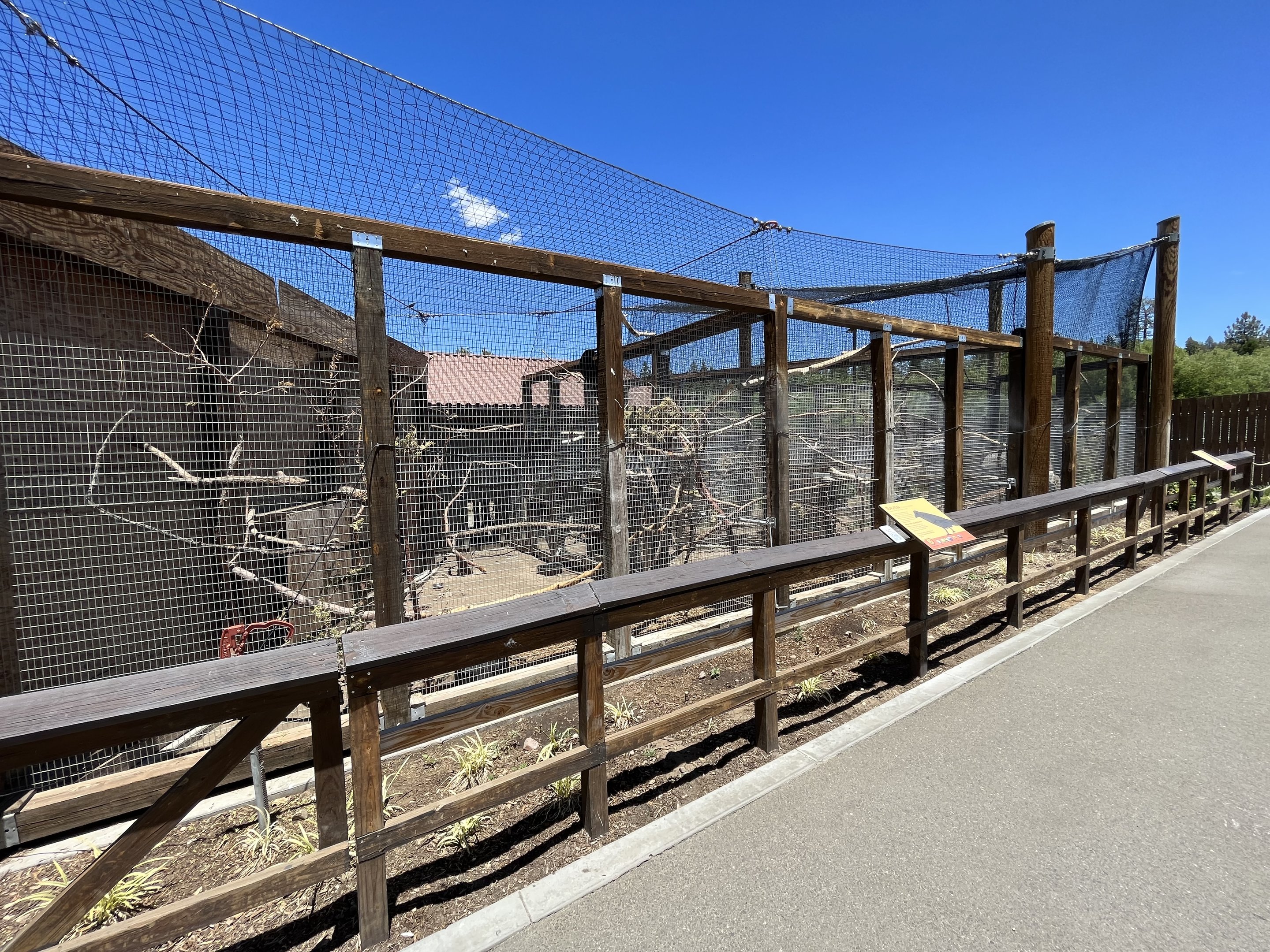 Raven/Crow/Turkey Vulture Aviaries