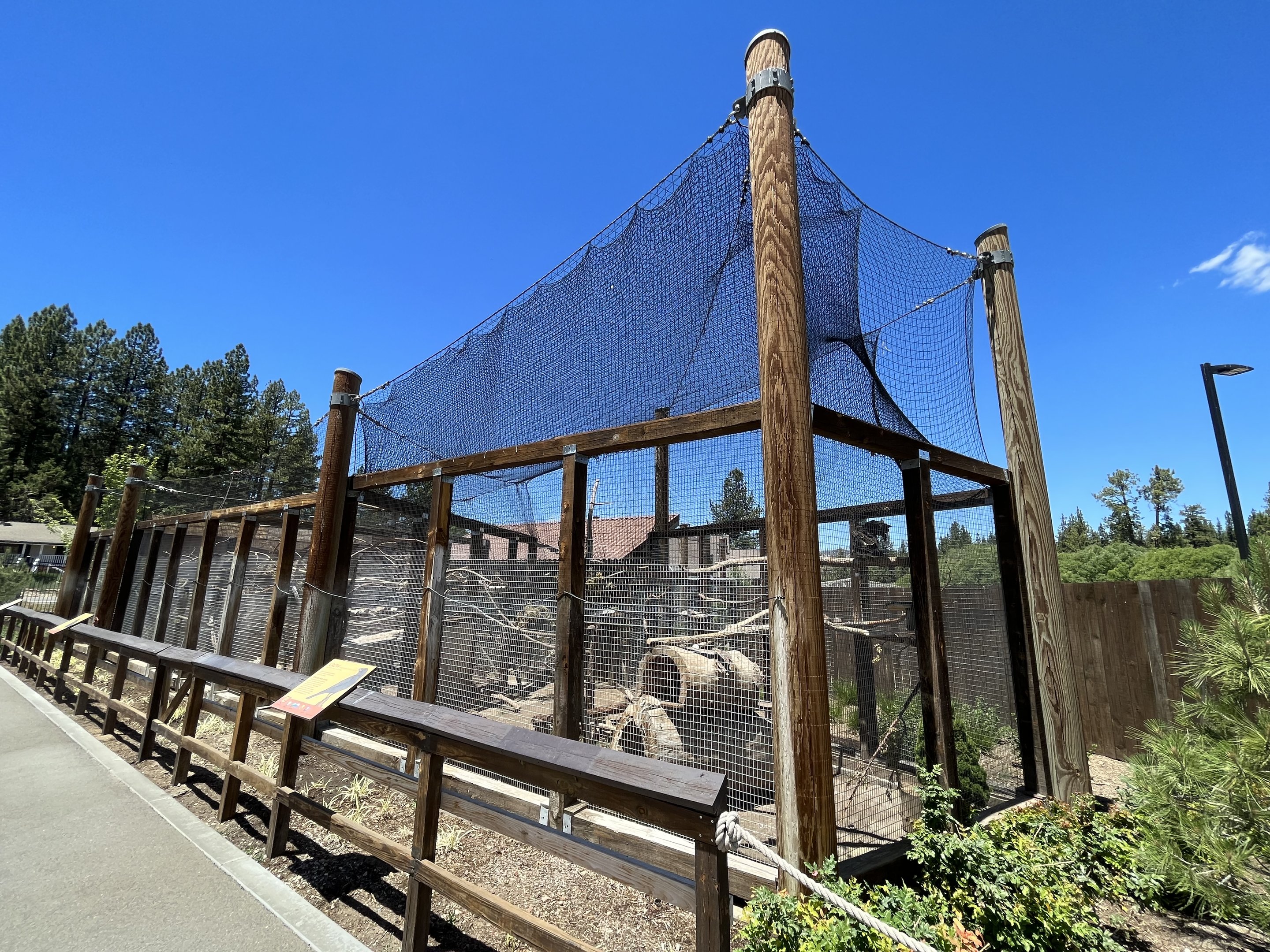 Raven/Crow/Turkey Vulture Aviaries