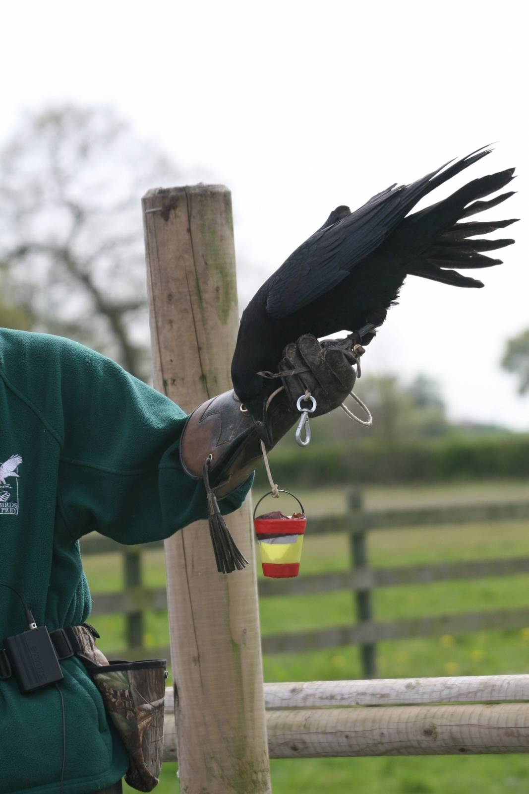 Raven Demonstration #4, Gauntlet 2008