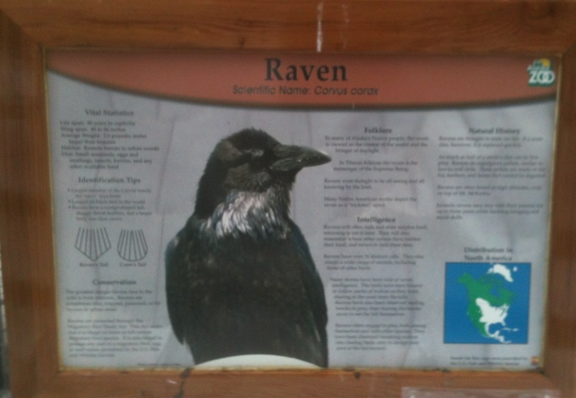 Raven Educational Sign