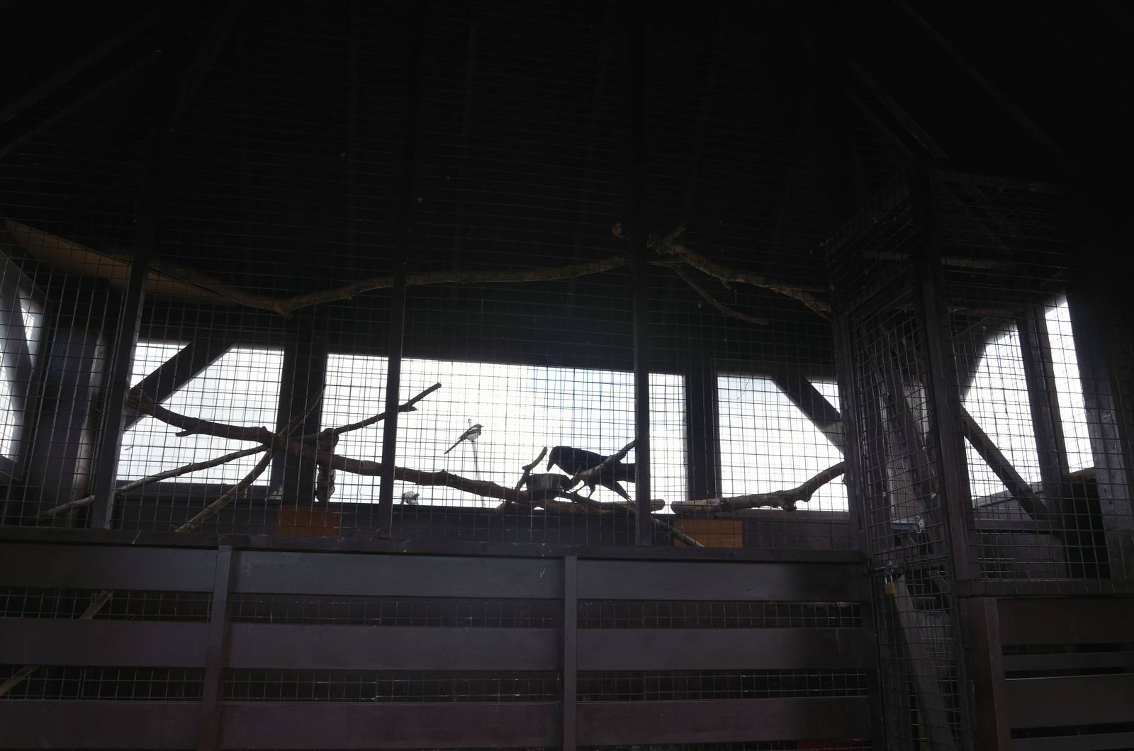 Raven enclosure-06/07/2014