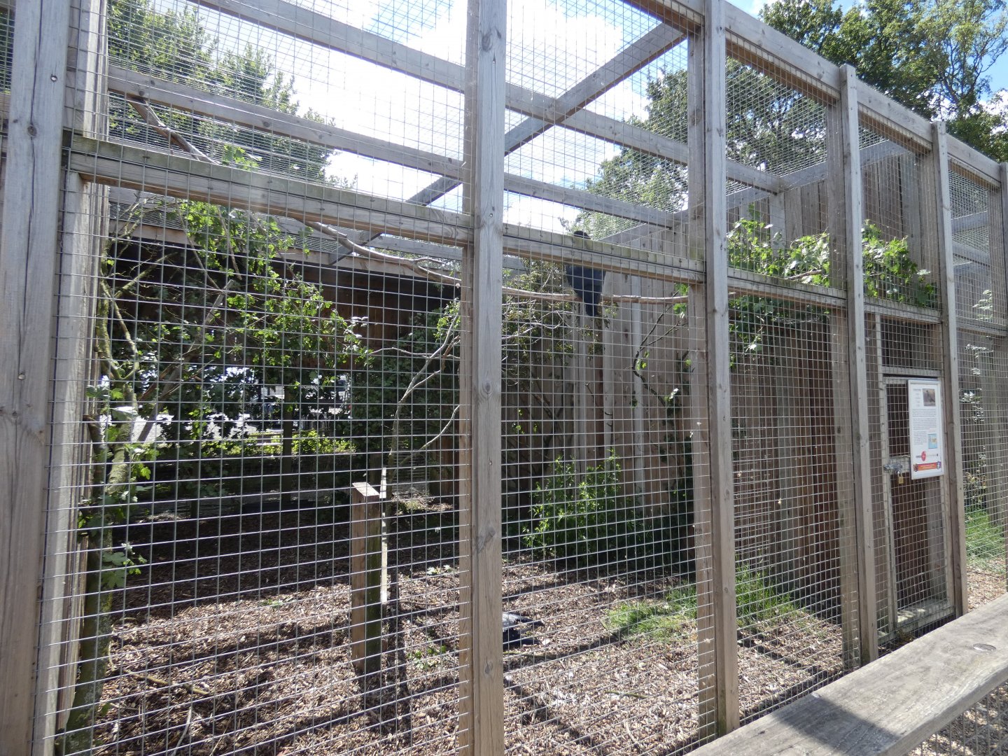 Raven enclosure