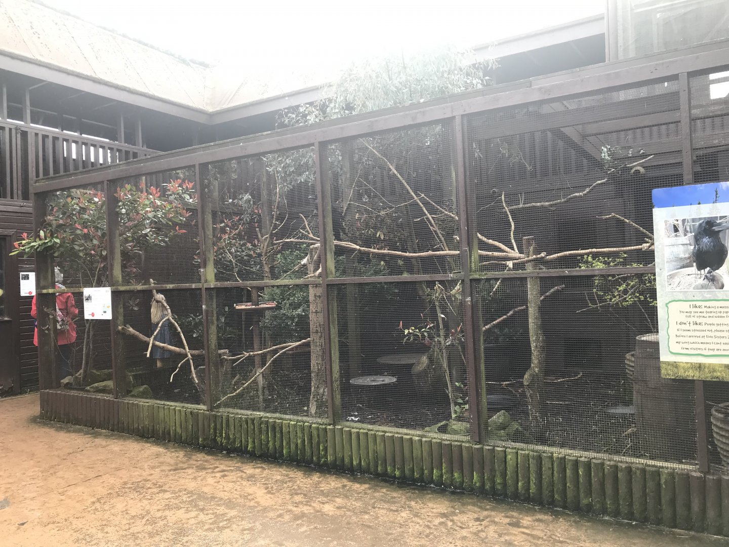 Raven enclosure