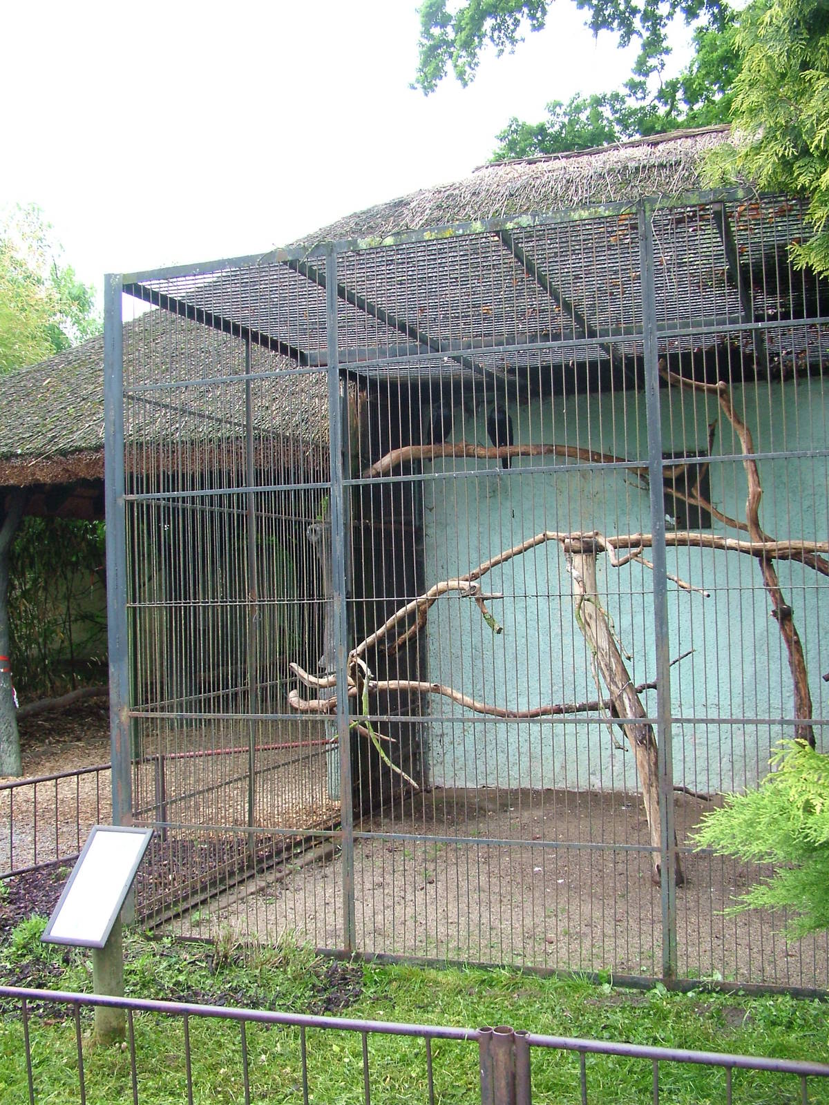 Raven exhibit at Ohrada, 26/05/10