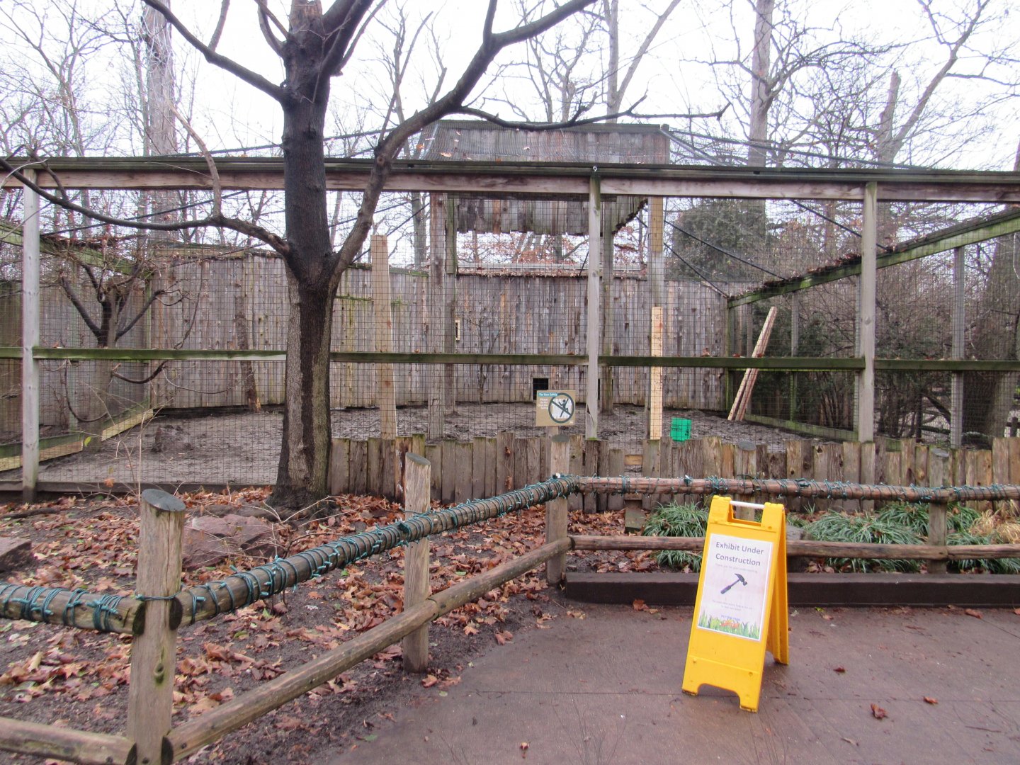 Raven Exhibit, Under Construction