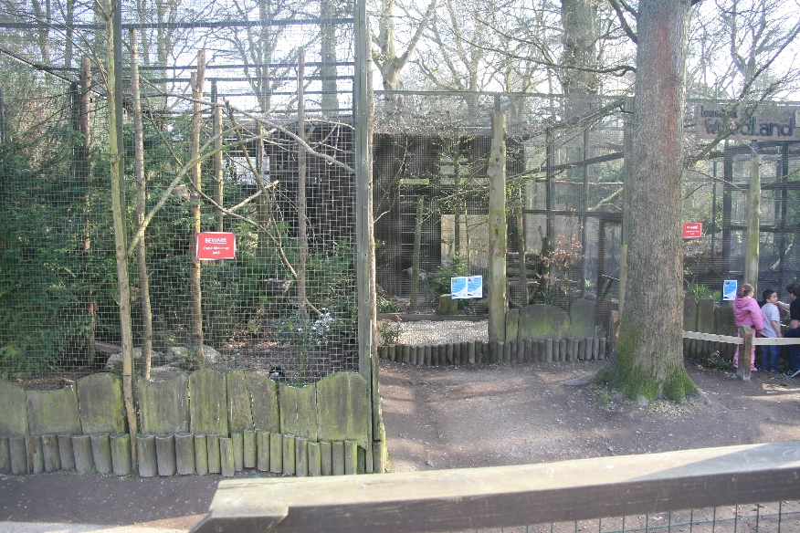 Raven / Magpie / Red squirrel aviaries