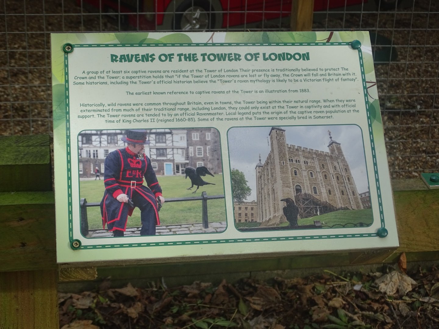 Raven signage, 16th October 2023