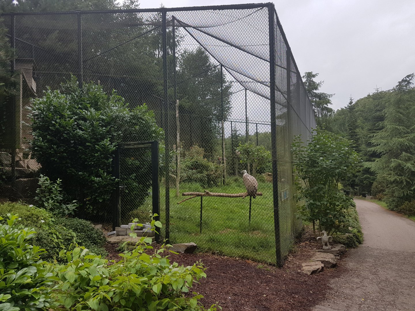 Raven - Vulture - Ground hornbill-aviary