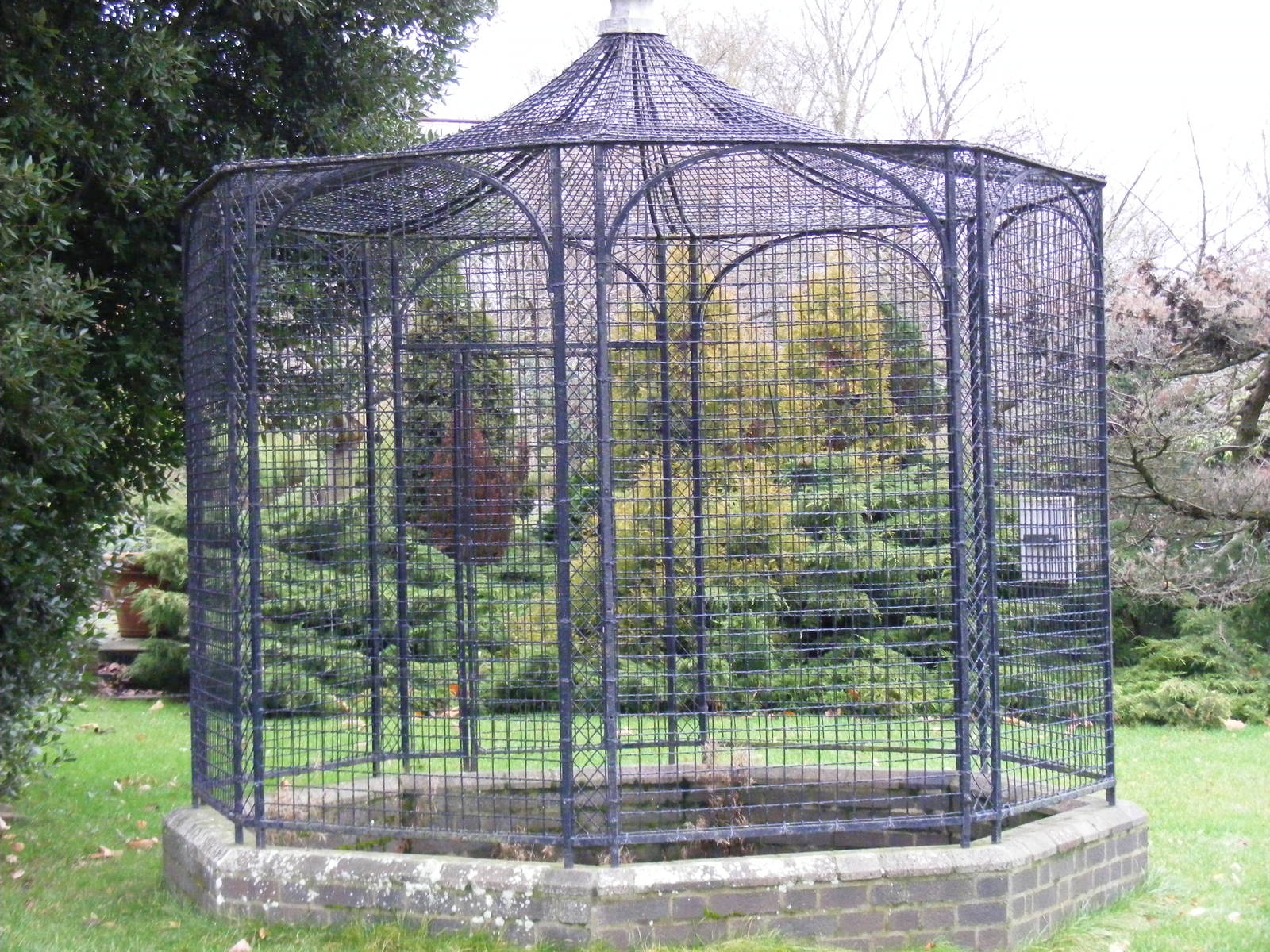 Ravens' Cage at London Zoo, 15 January 2011