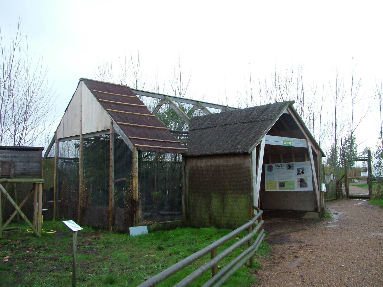 Raven's Nest at Tropical Wings 29/11/09