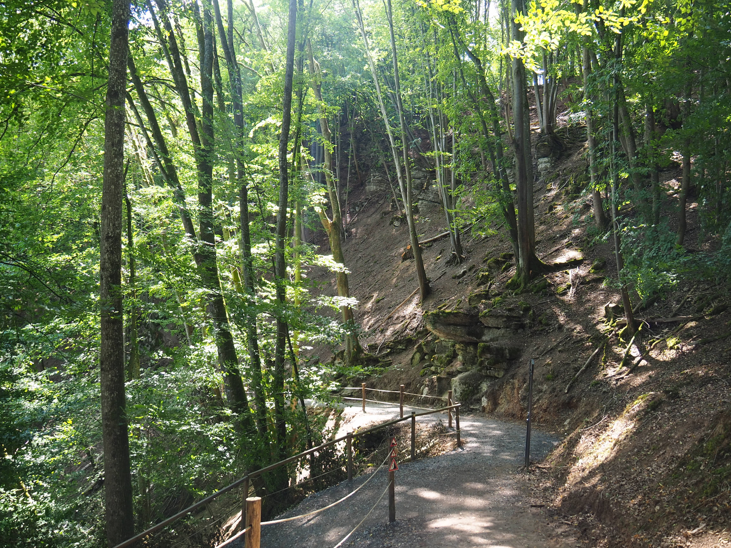 Ravine forest and trail to Lesse valley and lower area of wildlife park, 2020-07-12