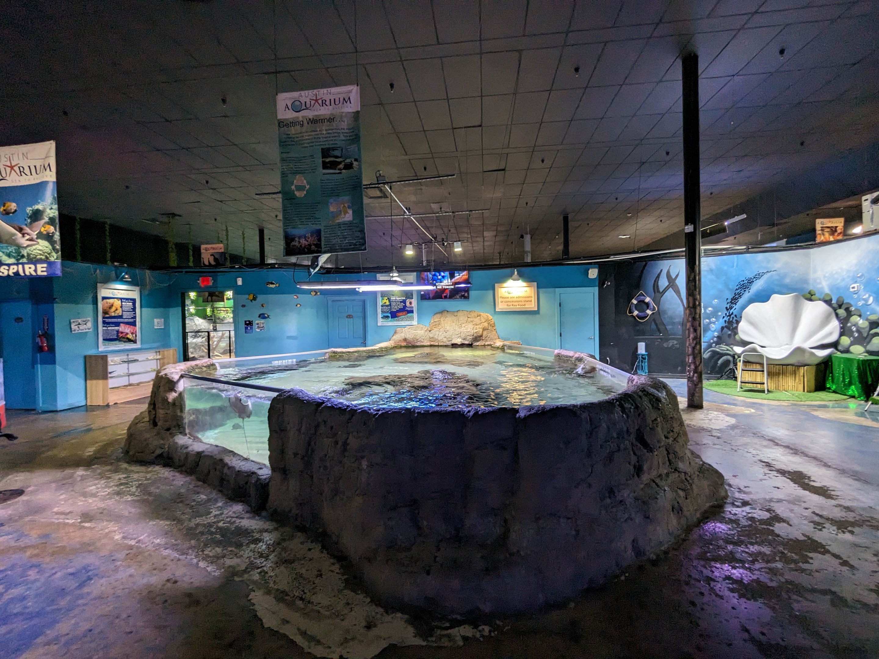 Ray and shark touch tank