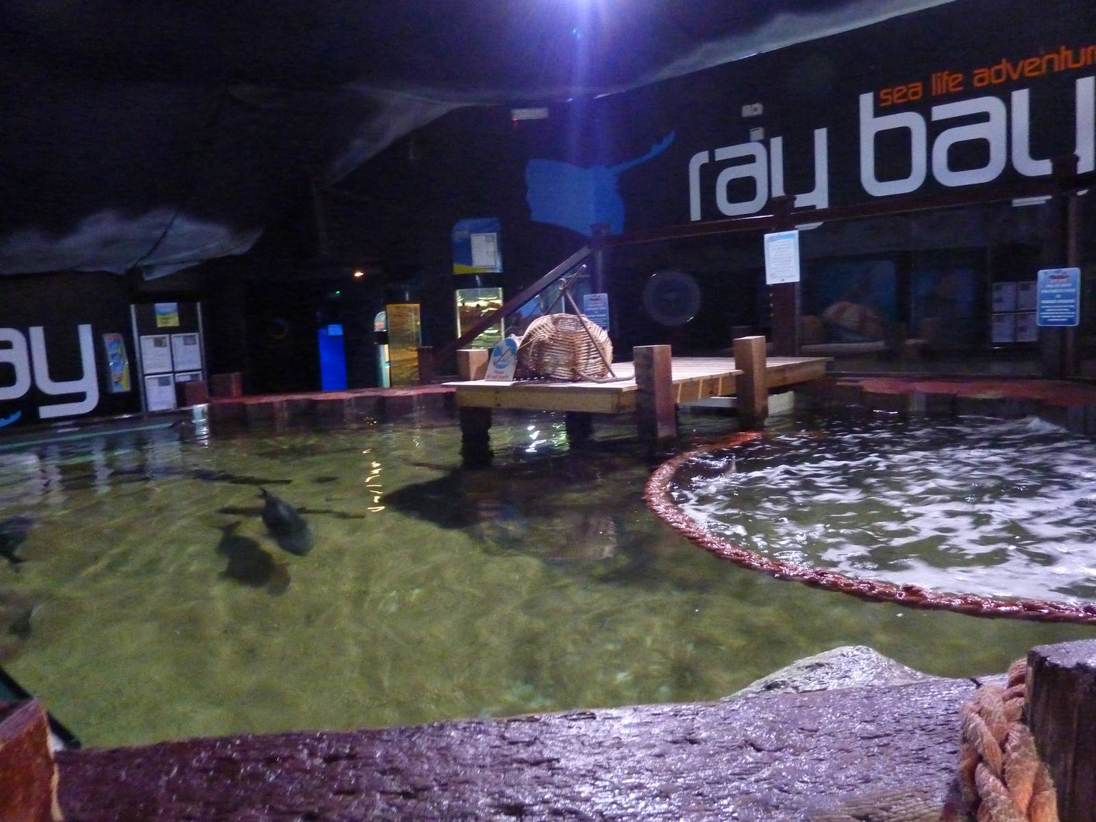 Ray bay tank