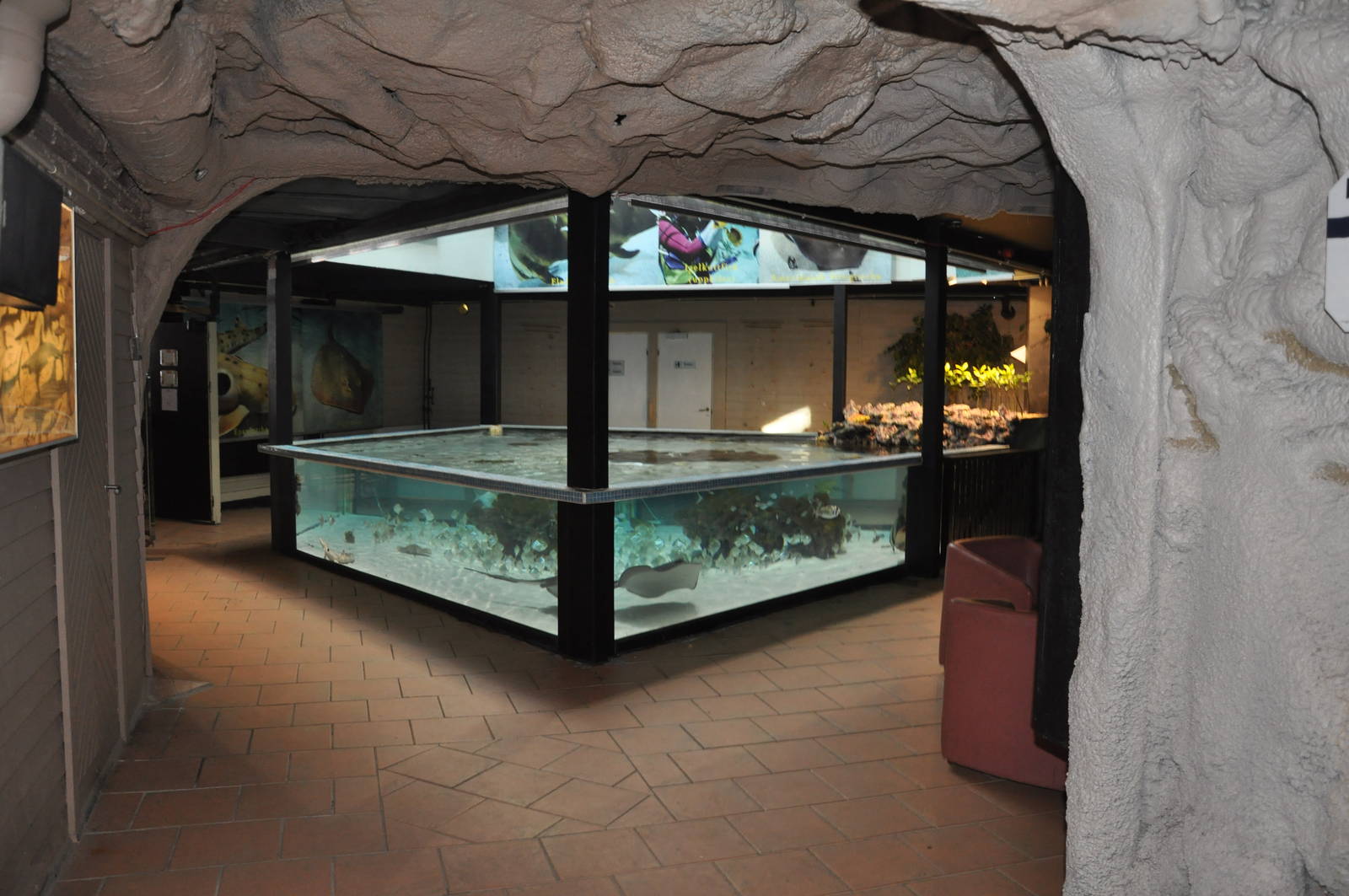 Ray-fish and Shark petting pool