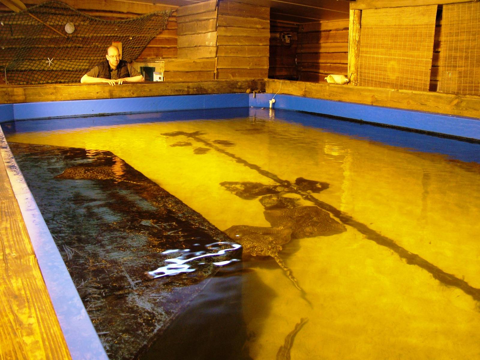 Ray House at Dierenrijk, 31/05/12