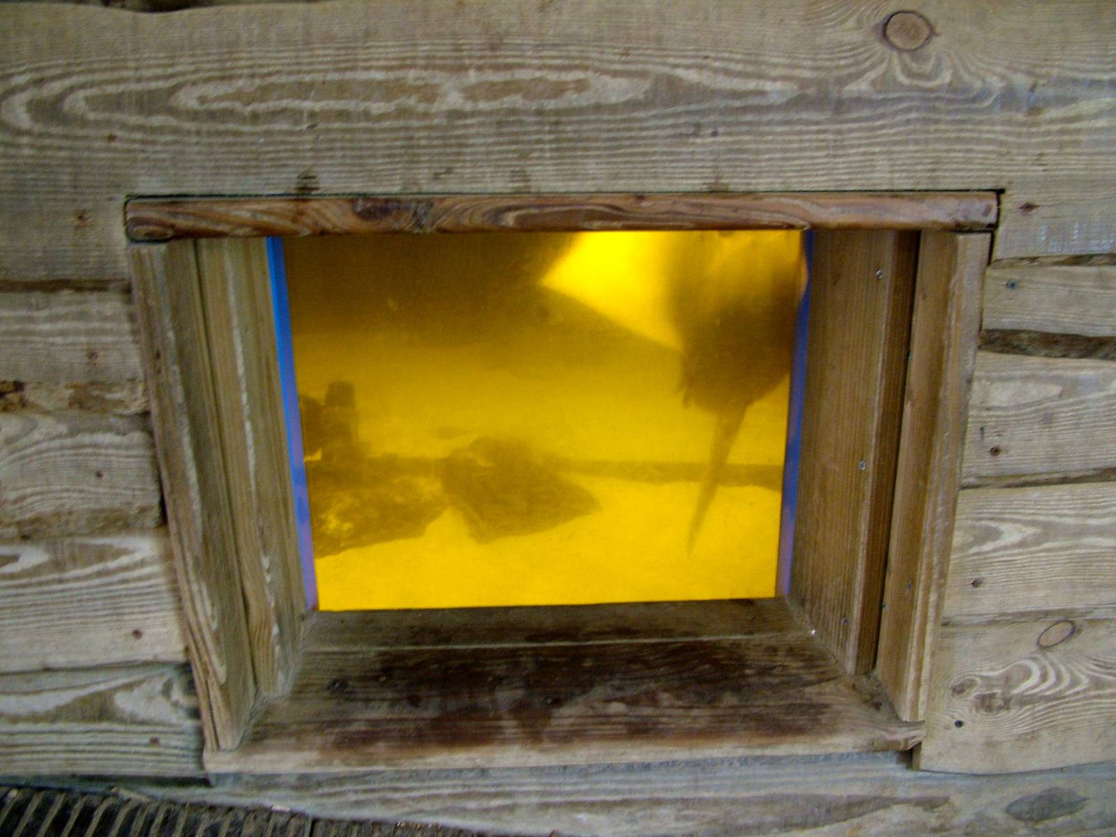 Ray House at Dierenrijk, 31/05/12