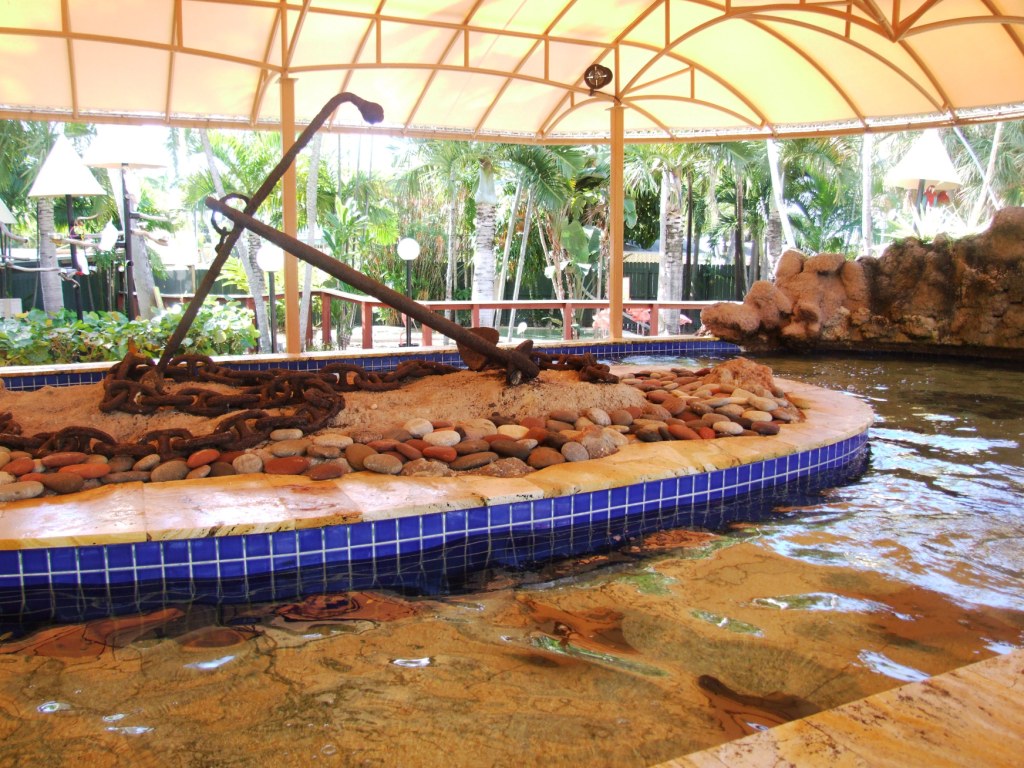 Ray Pool at Miami Seaquarium, 16/10/13