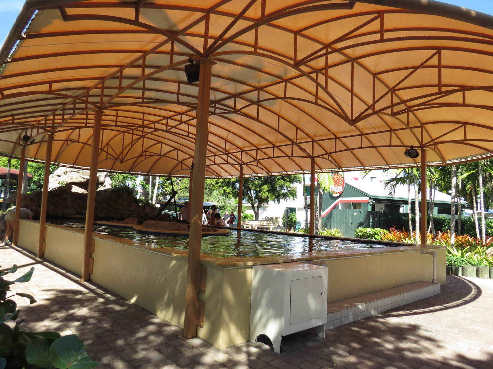 Ray pool, March 2015