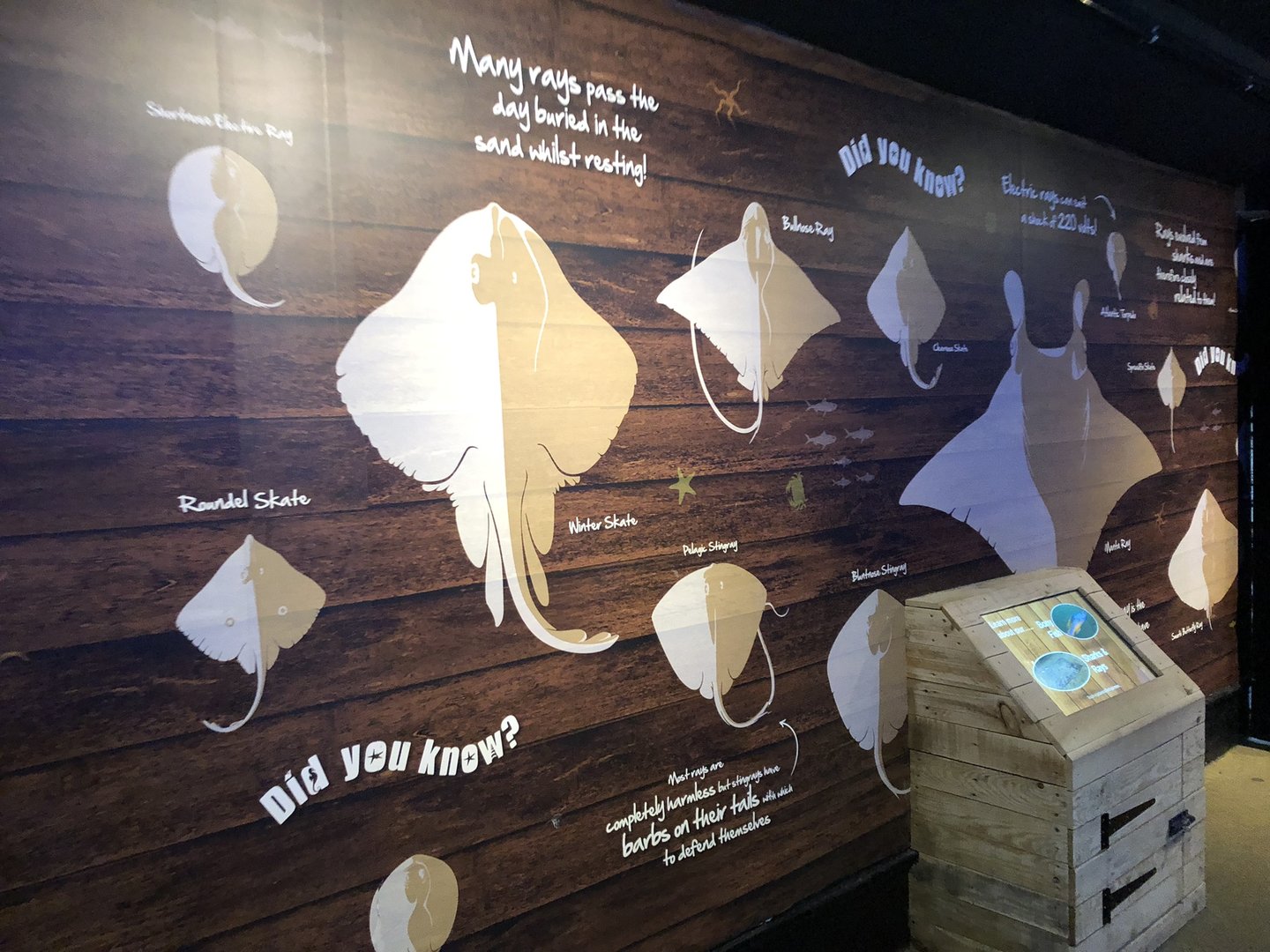 Ray Signage at SEA LIFE Scarborough (September 2022)