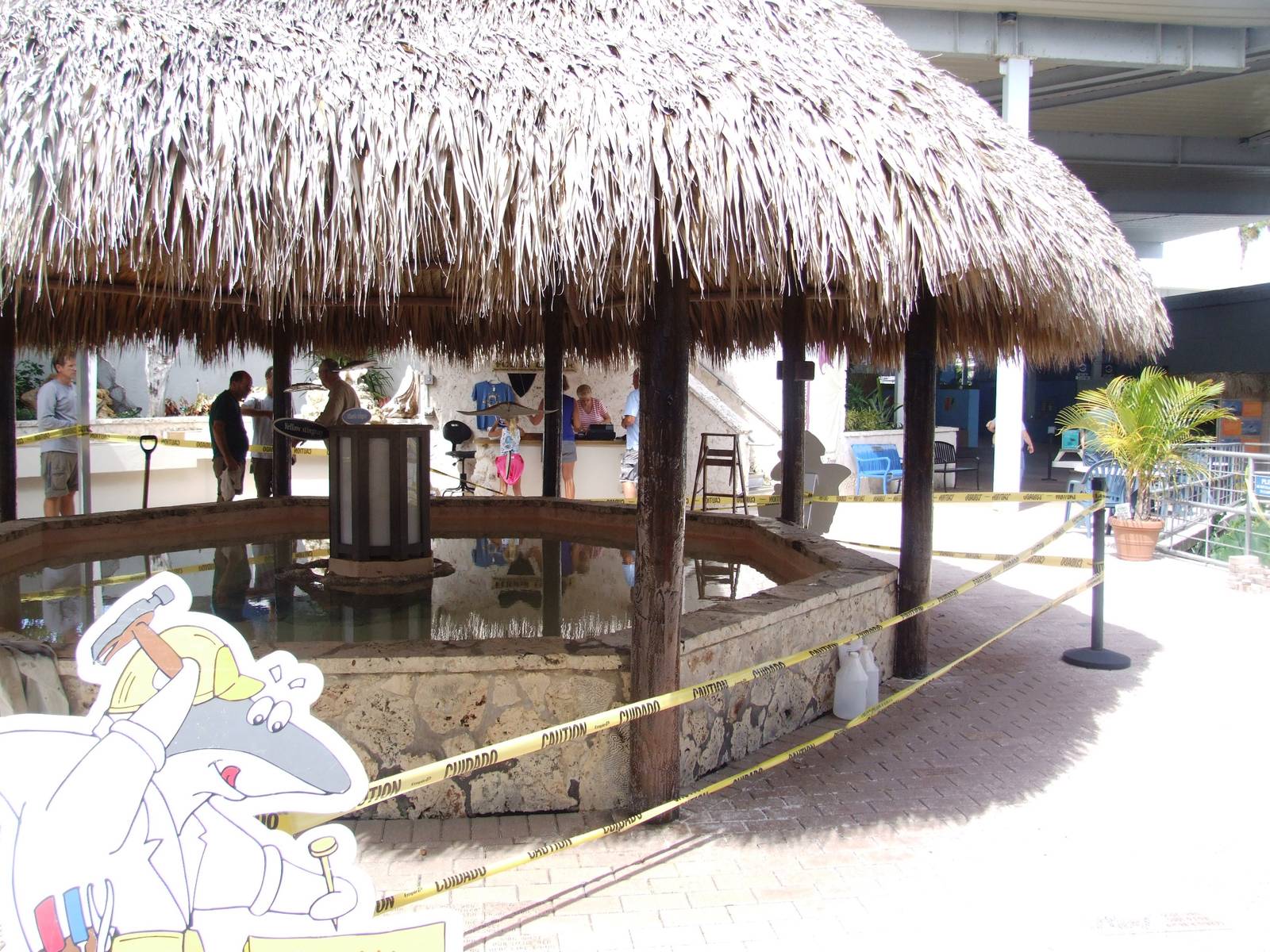 Ray Tank at Mote, 07/10/13