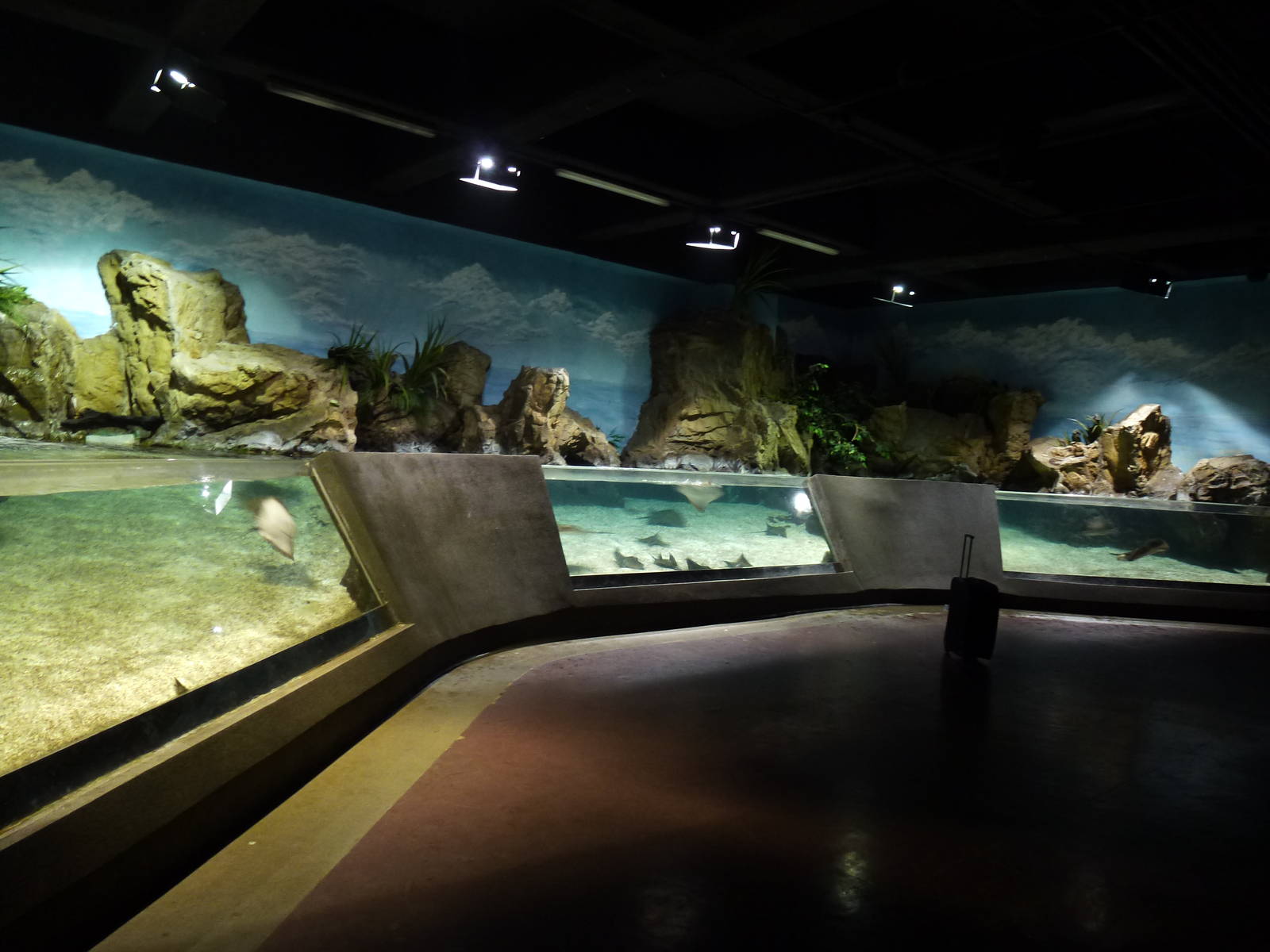 Ray tank, June 2013.