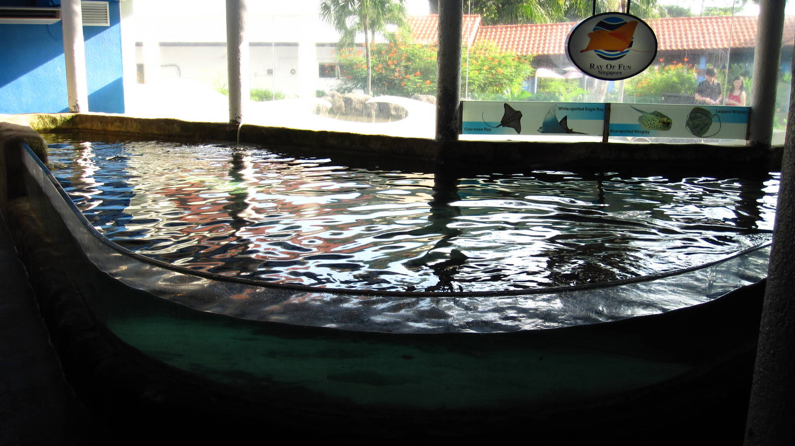 Ray Touch Pool