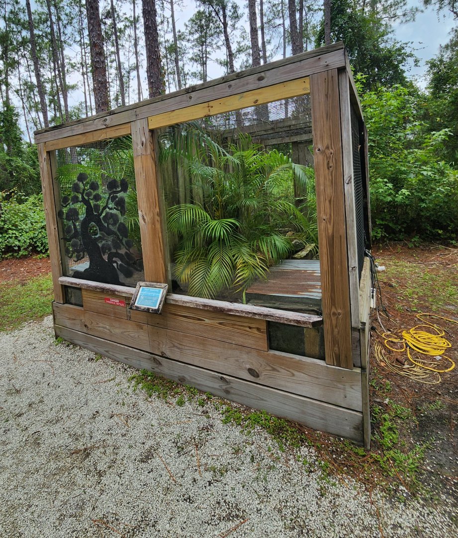 RDC - Black-tailed Cribo exhibit