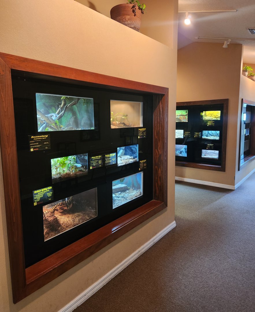 RDC - Snake exhibit hall