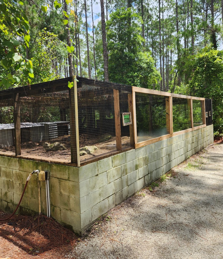 RDC - Tortoise exhibits on outdoor trail