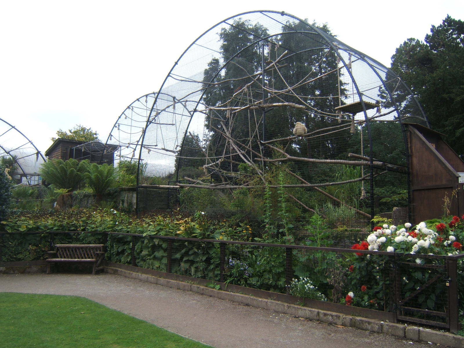 Re-built Lar Gibbon enclosure