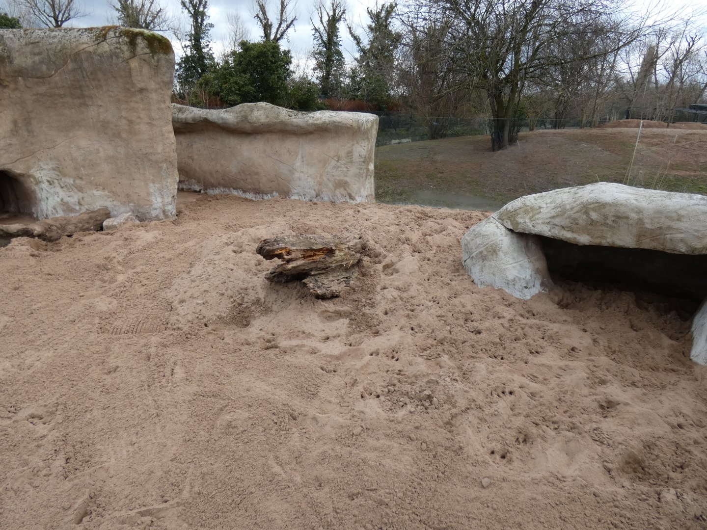 Re-done Aardvark enclosure