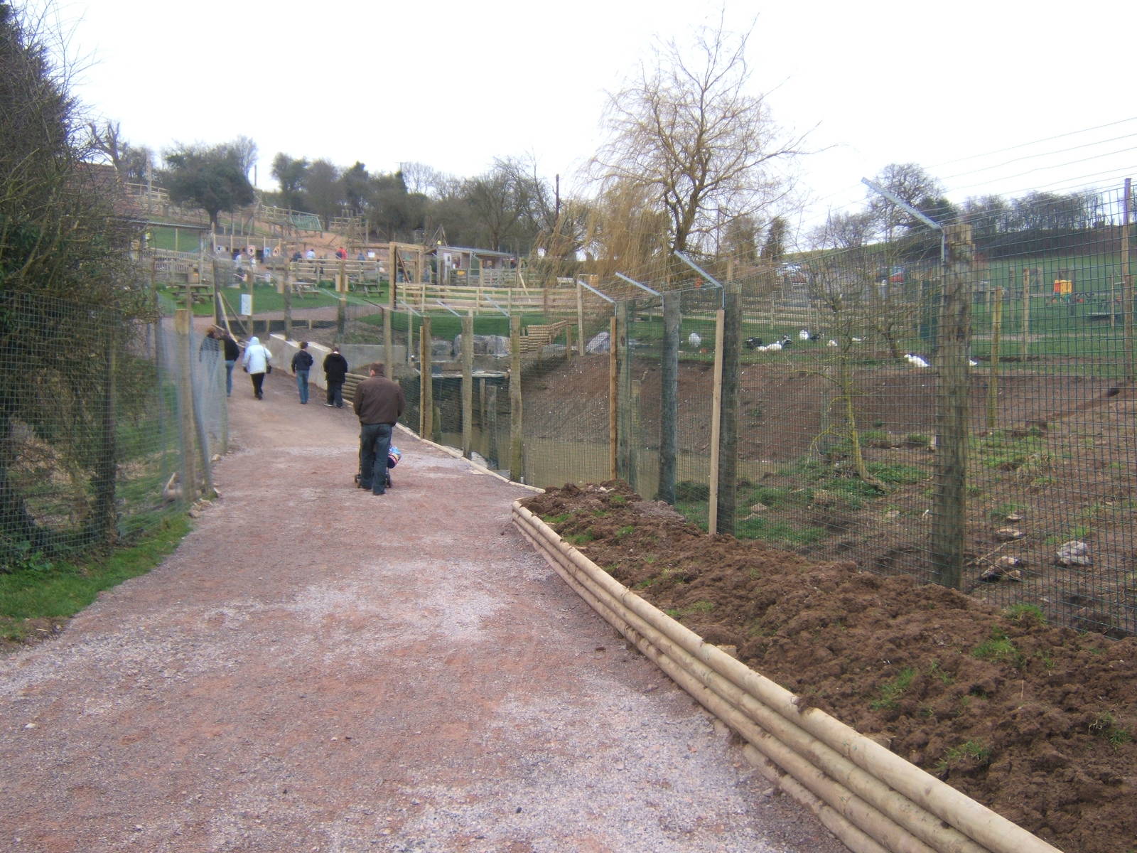 Re-fencing the waterfowl and Stork enclosures